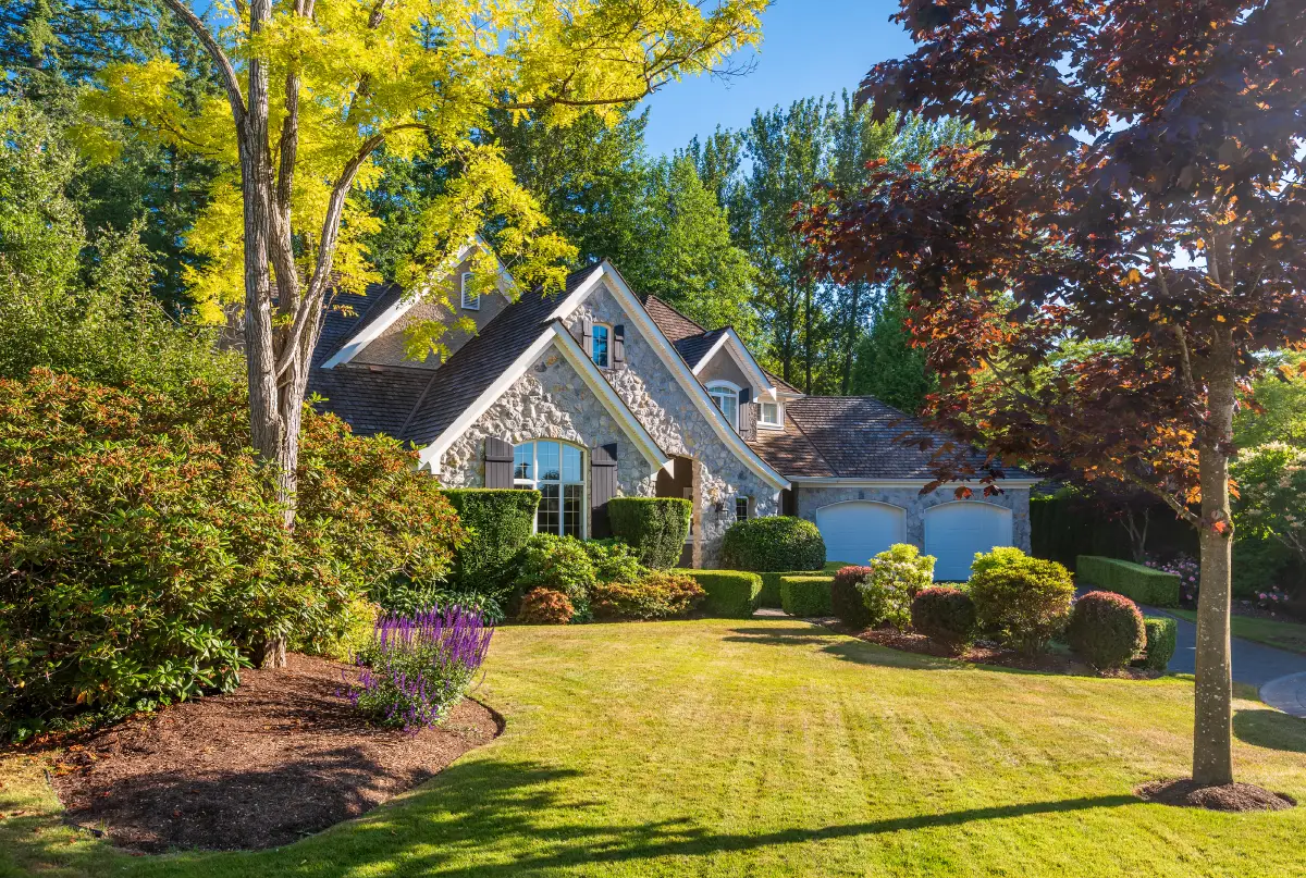 Hosting That Hits the Right Note: Vacation Rental Success in Memphis